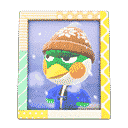 Admiral's photo - Pop