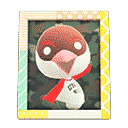 acnh-pecks-photo.png