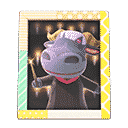 acnh-rodeos-photo.png