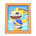 acnh-coachs-photo.png