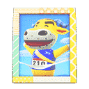 acnh-coachs-photo.png