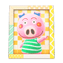 acnh-curlys-photo.png