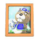 acnh-chips-photo.png