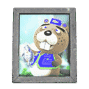 acnh-chips-photo.png