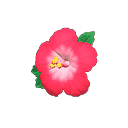 acnh-hibiscus-hairpin.png