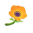 acnh-orange-windflowers.png