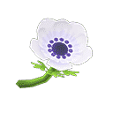 acnh-white-windflowers.png