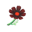 acnh-black-cosmos.png