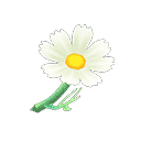 acnh-white-cosmos.png