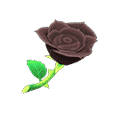 acnh-black-roses.png