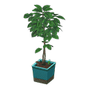 acnh-coffee-plant.png