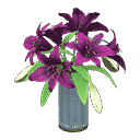 acnh-casablanca-lilies.png