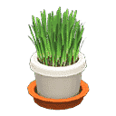 acnh-cat-grass.png