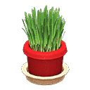 acnh-cat-grass.png