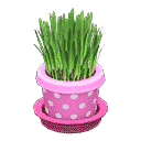 acnh-cat-grass.png