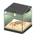 Critters will NOT count towards your Critterpedia! You can donate them to Balthers or use them for cooking.