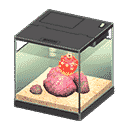 Critters will NOT count towards your Critterpedia! You can donate them to Balthers or use them for cooking.