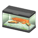 acnh-arowana.png