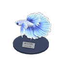 acnh-betta-model.png