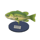 acnh-black-bass-model.png
