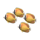 acnh-butterfly-fish-model.png