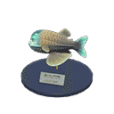acnh-barreleye-model.png