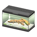 acnh-saddled-bichir.png