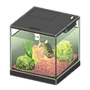 acnh-crucian-carp.png