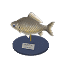 acnh-crucian-carp-model.png