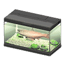 acnh-king-salmon.png