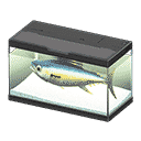 acnh-tuna.png