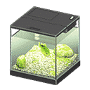 acnh-yellow-perch.png