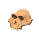 acnh-australopith.png