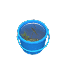 acnh-pondskater.png