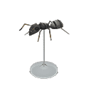 acnh-ant-model.png
