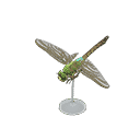 acnh-darner-dragonfly-model.png