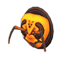 acnh-wasp-head-model.png