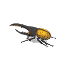 acnh-grand-h-hercules-model.png