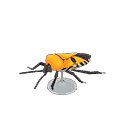 acnh-man-faced-stink-bug-model.png