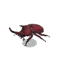 acnh-horned-dynastid-model.png