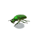acnh-drone-beetle-model.png