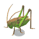 acnh-grasshopper-model.png