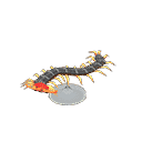 acnh-centipede-model.png