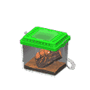 acnh-cicada-shell.png