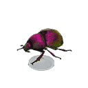 acnh-earth-boring-dung-b-model.png