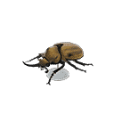 acnh-horned-elephant-model.png