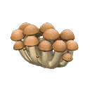 acnh-mush-partition.png