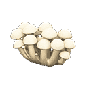 acnh-mush-partition.png