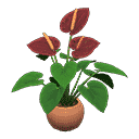 acnh-anthurium-plant.png