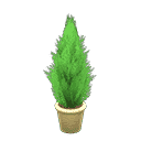 acnh-cypress-plant.png